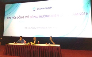 Ocean Group thông qua kế hoạch doanh thu hơn 1.500 tỷ đồng