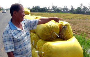 "9g45 khác gì 10g mà không cho cắt lúa?"