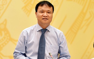 Thứ trưởng Bộ Công thương trả lời về vụ trụ cột điện "trộn đất"