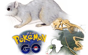 Bí ẩn về loài được ví là "Pokémon cuối cùng không chịu tiến hóa"