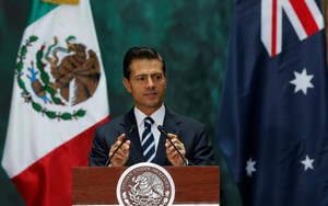 Tổng thống Mexico đạo luận văn tốt nghiệp đại học?