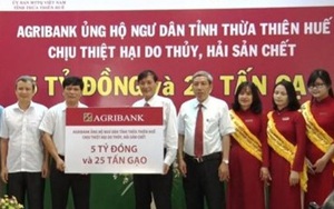 Hỗ trợ 25 tấn gạo, 5 tỷ đồng cho ngư dân vùng cá chết