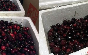 Bay từ Mỹ về Việt Nam, thùng cherry bị vơi mất 1/3