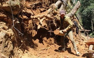 “Đột kích” bãi vàng trái phép