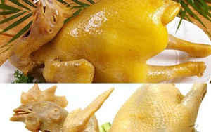 Nhận biết gà “ăn” hoá chất