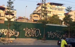 Hà Nội trồng 1 triệu cây xanh: Không thể cứ “có đất là trồng”