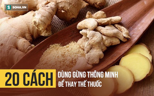 Không ai ngờ củ gừng rẻ tiền lại chính là "thần dược" với 20 tác dụng với sức khỏe