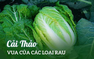 Loại rau rẻ tiền ở Việt Nam được Trung Quốc, Hàn Quốc tôn vinh là "vua" vì bổ dưỡng