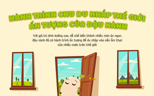 Đậu nành và hành trình trở thành loại hạt quan trọng nhất thế giới