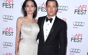 Tại sao Brad Pitt đồng ý để Angelina Jolie tạm thời toàn quyền nuôi con?