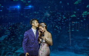 Cô dâu Việt chi gần 2 tỷ đồng "bao trọn" thủy cung lớn nhất thế giới làm đám cưới