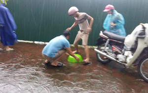 Hà Nội: Người dân đổ xô bắt cá ngay trên vỉa hè sau mưa ngập