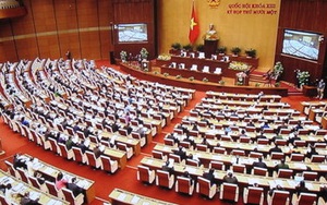 ​Sáng 30-6, họp báo công bố hoãn thi hành Bộ luật Hình sự