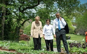 Loại cây được ví là "sâm nam" của VN có trong vườn nhà Obama