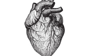 Cơn đau tim bật “xi nhan” 5 dấu hiệu trước khi xảy ra 30 ngày