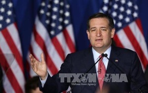 Thượng nghị sỹ Ted Cruz cảnh báo ông Trump về khả năng bạo loạn