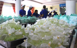"Cơm tình nguyện" đây, các thí sinh cứ thoải mái!