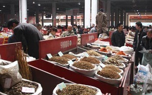 Thuốc bắc chứa vài chục loại thuốc trừ sâu