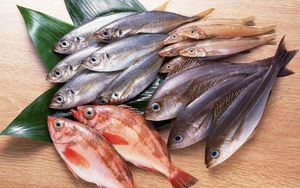 Cẩn thận nhiễm độc thủy ngân khi ăn cá