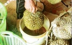 Mối nguy hiểm khi ăn trái cây tẩm hóa chất