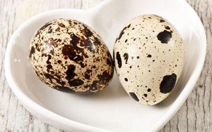 Những tác dụng không ngờ của trứng cút