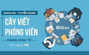 Soha.vn tuyển 6 cây viết và cộng tác viên mảng Kinh tế, đãi ngộ hấp dẫn