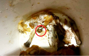 Gà rán KFC "tẩm ướp gia vị lạ" khiến thai phụ ở tháng thứ 7 ngộ độc suốt ba ngày