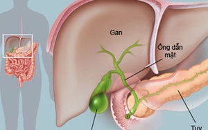 Đắng miệng, do đâu?