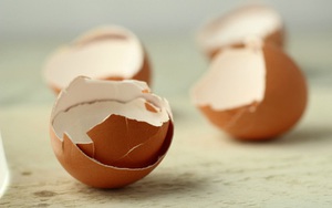 Hãy ngừng việc ném vỏ trứng đi vì bạn sẽ "choáng" trước tác dụng thần kì của chúng