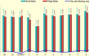 Việt Nam trở lại nhập siêu 445 triệu USD trong tháng 10