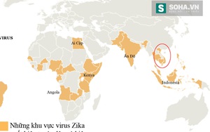 Sự thật đằng sau bức ảnh "Việt Nam có virus ăn não người"