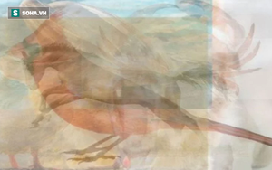 Nhìn thấy loài vật trong hình này, bạn sẽ khám phá ra "bí mật" ẩn trong mình bấy lâu nay