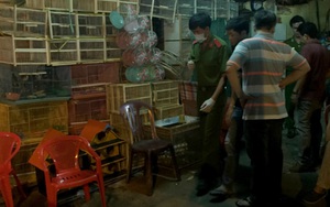 Lời khai của nghi phạm đâm chết chủ tiệm chim ở Sài Gòn