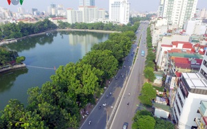 Ảnh: Hoài niệm những hàng cây bị chặt hạ khi Hà Nội nóng hơn 40 độ