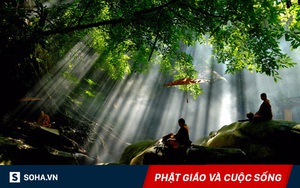 Đi lấy củi gặp nước lũ, sự ứng phó khôn ngoan của chú tiểu khiến ai cũng nên ngẫm lại mình