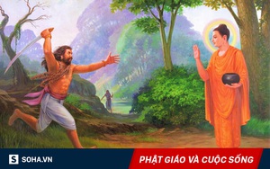 Luật nhân - quả ở đời và lời nhắn đến tất cả chúng ta: Chớ "sốt ruột"!