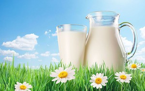 Không chỉ sữa bò, 5 loại sữa sau cũng được người Ấn Độ ưa chuộng vì rất bổ dưỡng
