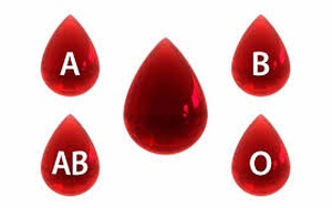 Dự đoán nhóm máu của con từ nhóm máu bố mẹ