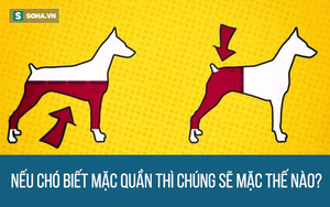 Những câu hỏi cho trẻ em nhưng không phải người lớn nào cũng trả lời được hết