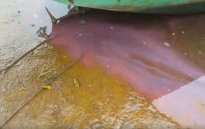 Xuất hiện thêm vệt nước màu đỏ trên biển Hà Tĩnh, Đà Nẵng