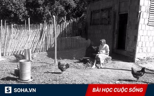 Nhờ 3 bữa cơm chan nước mắt, người mẹ già tìm được người thừa hưởng báu vật của tổ tiên!