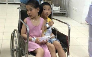 Nhặt quả ngô đồng ăn, 9 học sinh tiểu học nôn mửa phải nhập viện