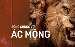 Bầy sư tử cuồng dại, giết chết 1.500 người: Vụ động vật thảm sát nhiều người nhất lịch sử