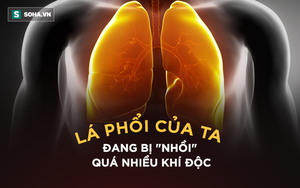 Giáo sư Nguyễn Hữu Ninh chỉ rõ 5 chất độc "lửng lơ" đe dọa 3 triệu người nội thành Hà Nội