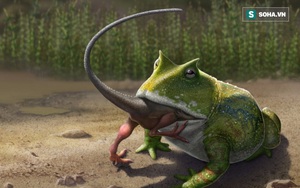 Lực cắn vô địch của ếch quỷ cổ đại: Có thể "nghiền nát" cả khủng long