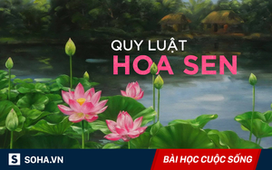Quy luật hoa sen: Đọc và ngẫm, bất cứ ai cũng sẽ tìm thấy lợi ích cho chính mình!