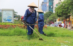 Hà Nội ấn định số lần cắt cỏ mỗi năm