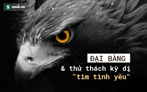 Chúa tể bầu trời: 8 khí chất ngược đời kỳ dị - chúng ta ai sánh kịp?