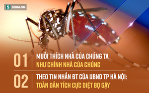 "Bắt thóp" tập tính muỗi truyền sốt xuất huyết: Lo trong nhà bạn, không cần lo hàng xóm!