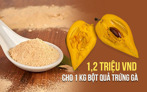 Người Châu Âu chi 1,2 triệu VND cho 1 kg bột quả trứng gà trong khi người Việt lại "chê"